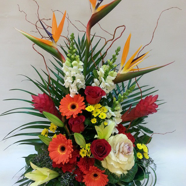 Tropical Paradise Prestige Flowers Canada