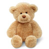 Teddy - Medium